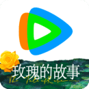 女人穿真丝很高级